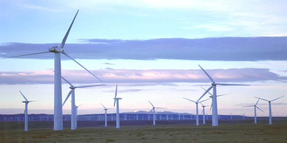 Bagaimana memanfaatkan Sumber Daya Alam yang dapat diperbaharui dalam bisnis ow.ly/VfJ2E