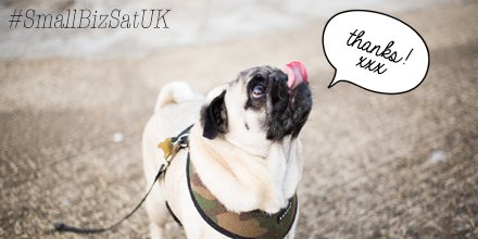 PugYeah's tweet image. Happy #SmallBizSatUK! HUGE thanks to all our amazing customers love Sophie, PUGyeah team &amp;amp; our little pal Alfie ^_^