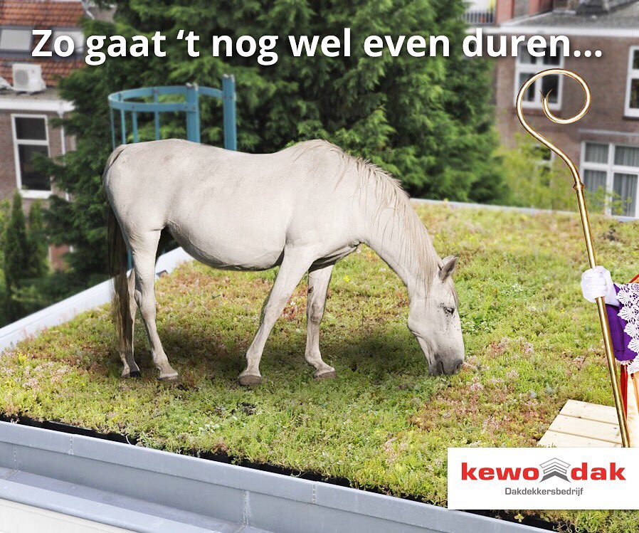 kewodak's tweet photo. #sint #sinterklaas #piet #pakjesavond #pepernoten https://t.co/IoWK3Ni1Pb