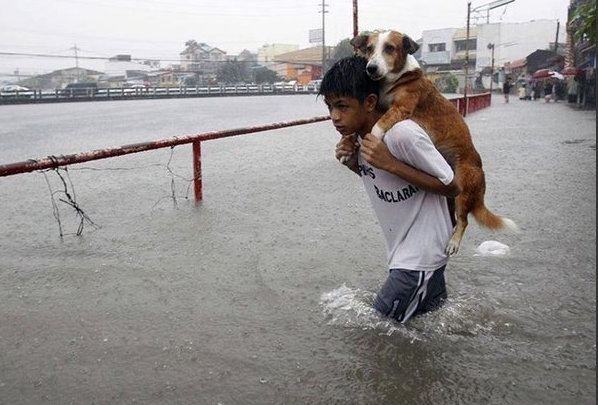 BasilWithaTwist's tweet photo. Photo of The Week. Heartbreaking. 💔
#ChennaiRains #ChennaiFloods https://t.co/c48wEtStYK