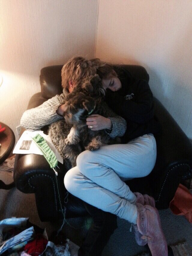 MegsHollinger's tweet photo. Mommy always makes me feel better! 
I know I'm to big but I still try fit on her lap. ❣ https://t.co/KXuQNaJT98