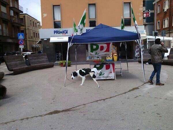 #italiacoraggio che se l'ha capito il cane possiamo arrivarci pure noi.