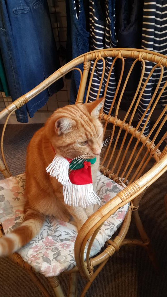 #SmallBusinessSaturday 
Isaacshoes.com lovely Seasalt clothing all on sale