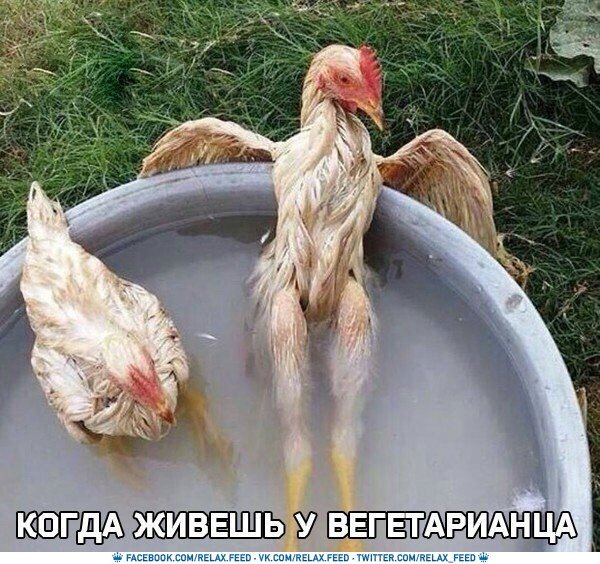 relax_feed's tweet photo. https://t.co/PcskbARI2k