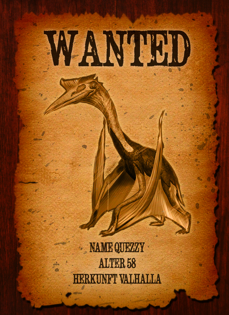 keksdose06's tweet photo. Schau mal was ich da gefunden habe @GaxTV . ;)
#Missing #Twitch #GaxTV #Quezzy #Valhalla https://t.co/J1wEWejp7T