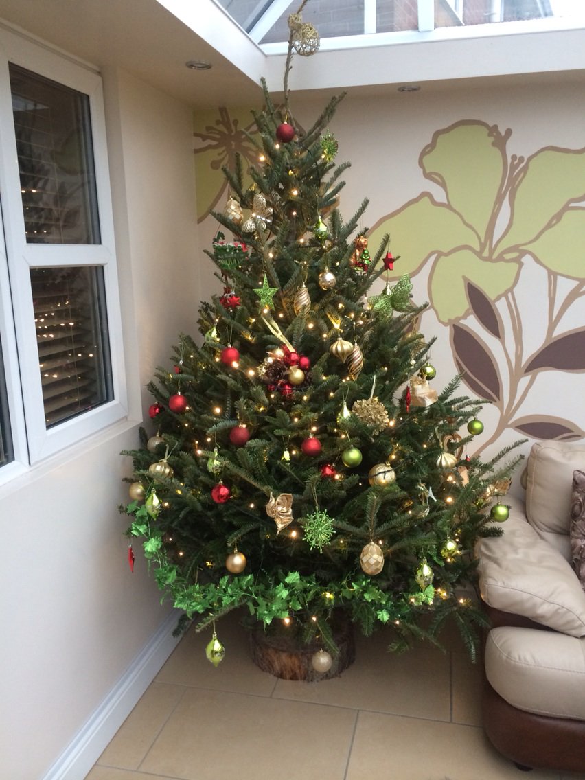 LivUniAccFin's tweet photo. ACFI305 students - I have finally found the time to put up my trees! #inbetweenwork#xmas https://t.co/OWerZ5sZPb