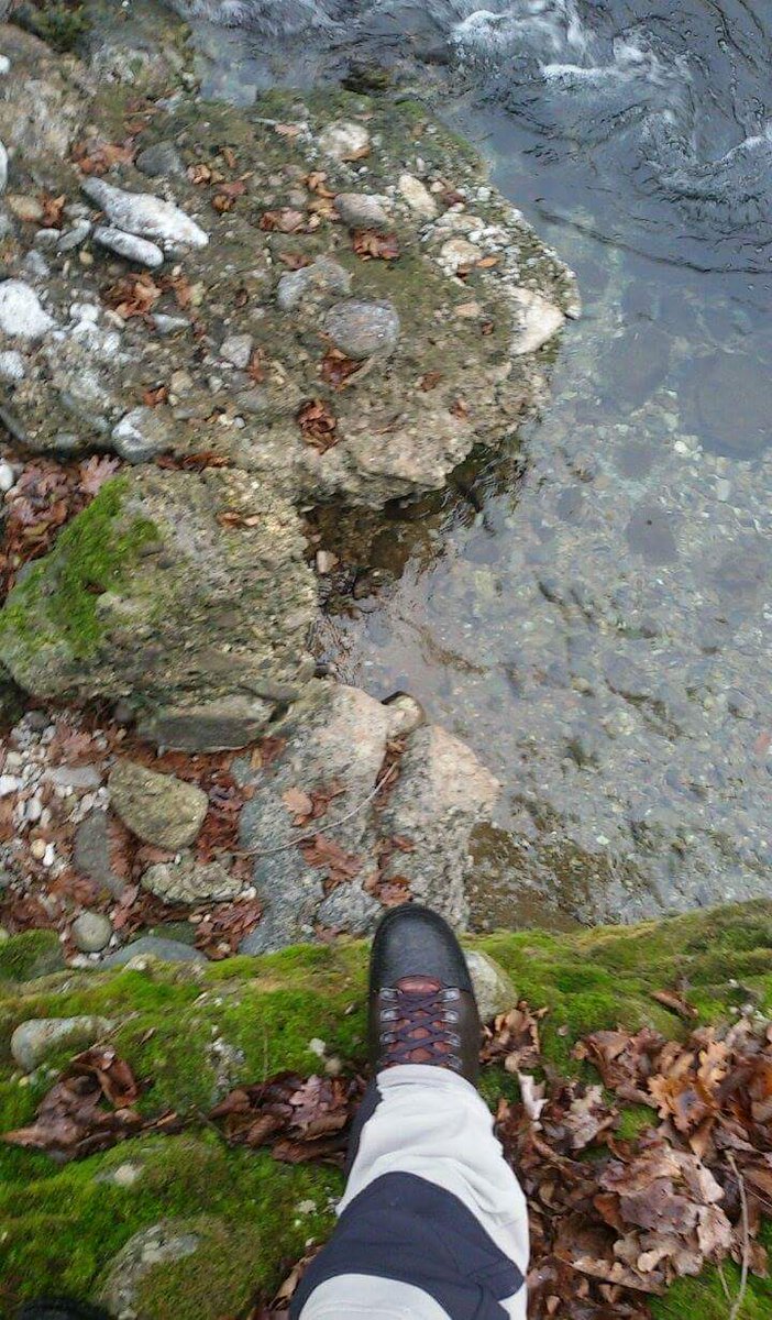 M80Matteo's tweet photo. #River #naturephoto #wildlife  #photo  #matteomarinelli #nikon_photography_  #reporter #documentary 
#follovers https://t.co/VynY4grYTq
