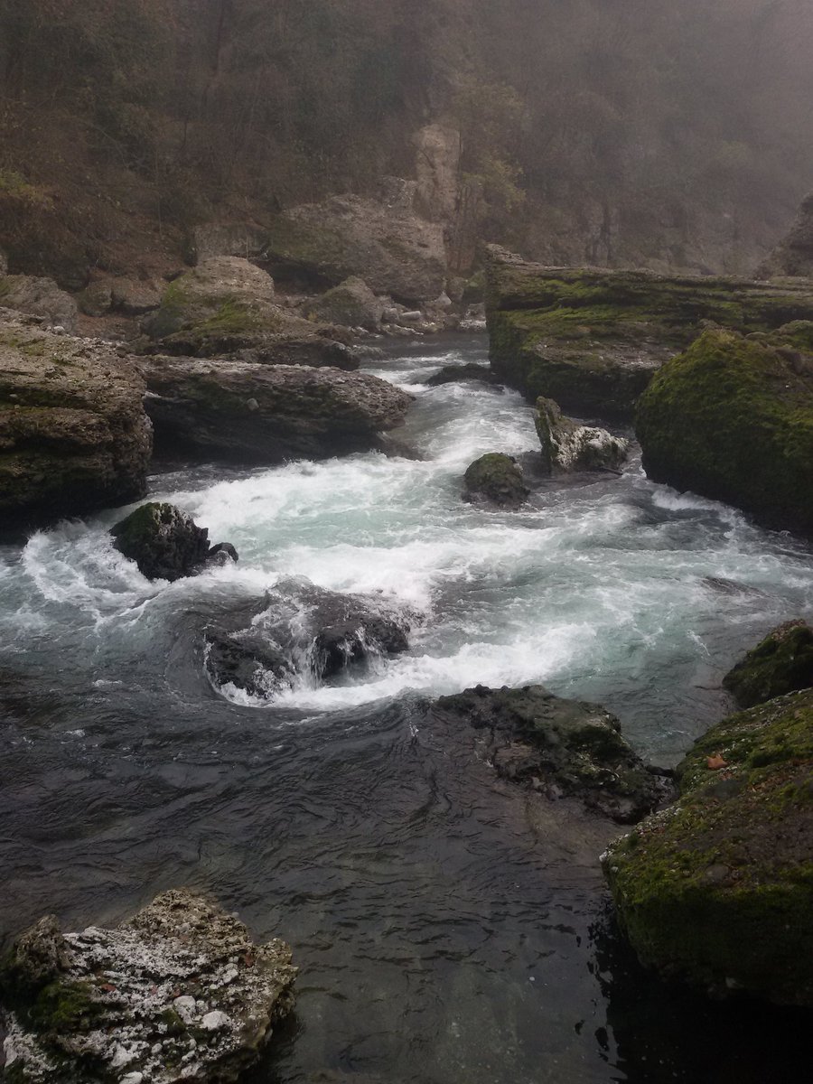 M80Matteo's tweet photo. #River #naturephoto #wildlife  #photo  #matteomarinelli #nikon_photography_  #reporter #documentary 
#follovers https://t.co/VynY4grYTq