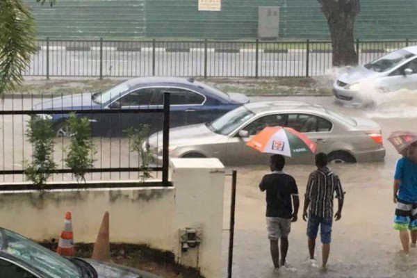 Embedded image permalink