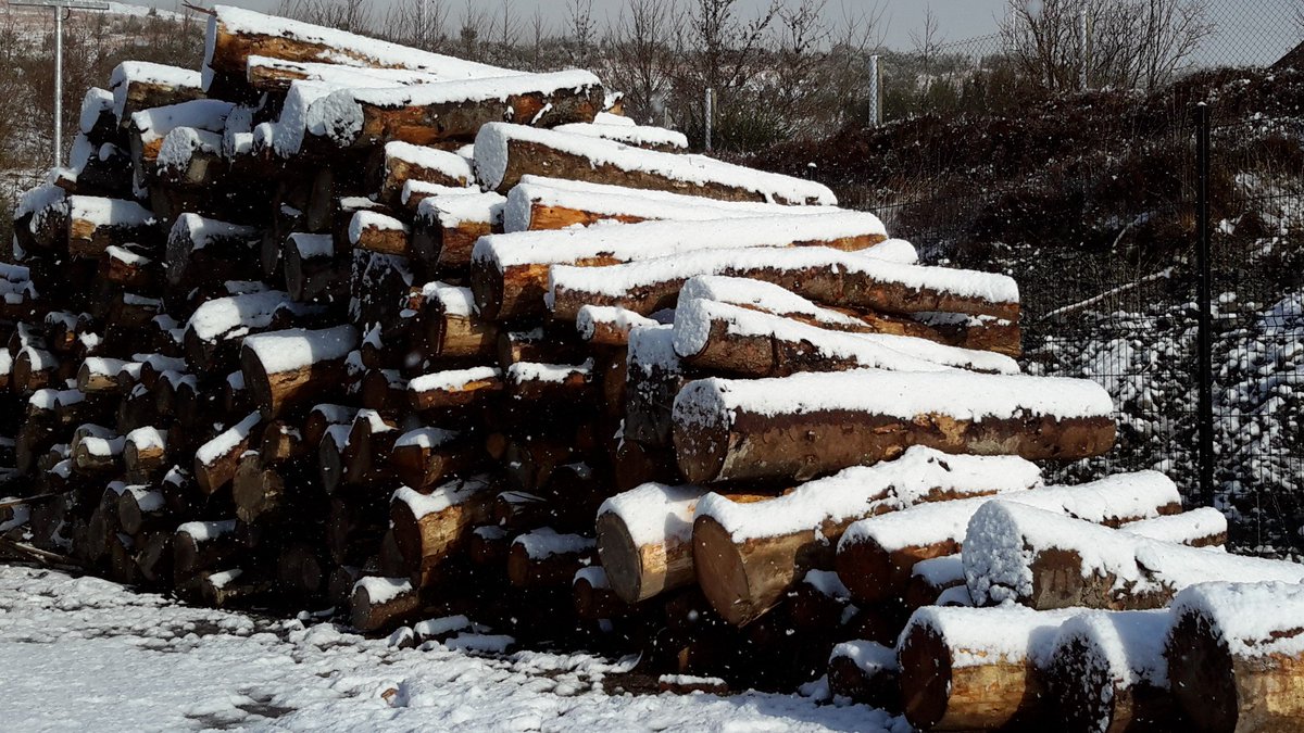 Enjoy our woody, merry-making Advent calendar on.fb.me/1TrAZrc