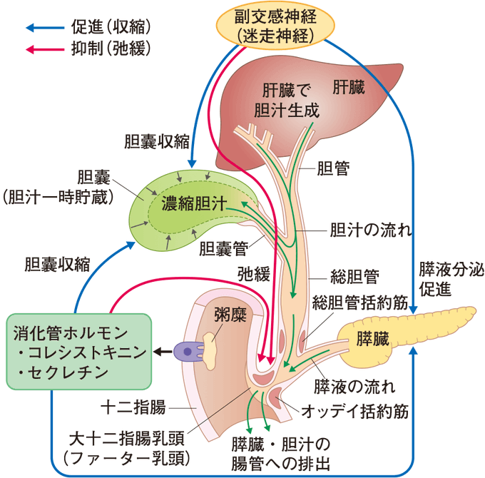 看護師国試のtwitterイラスト検索結果 古い順