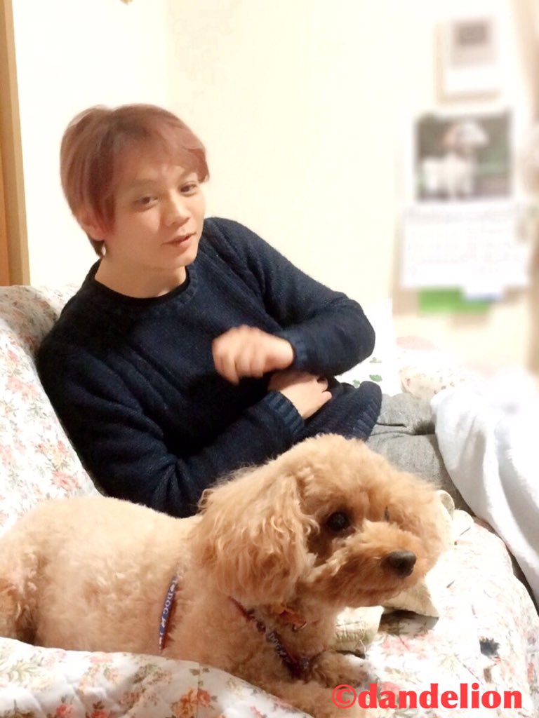 ダンデライオン 性格が姫過ぎて 犬と言うより猫みたいな妹 ココアとの2ショットです 浅沼 T Co Arwndasa16 Twitter