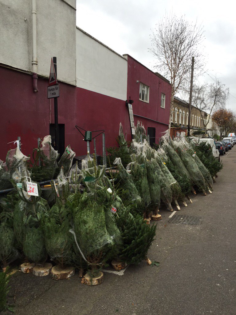 michaelmyatt's tweet image. @blackstockrd1 christmas trees from £20.00 corner of @blackstockrd1 and Chatterton Road n4. #Xmas #trees #nondrop