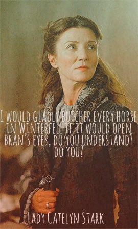 Lady Catelyn (@afishinwolffur) on Twitter photo 