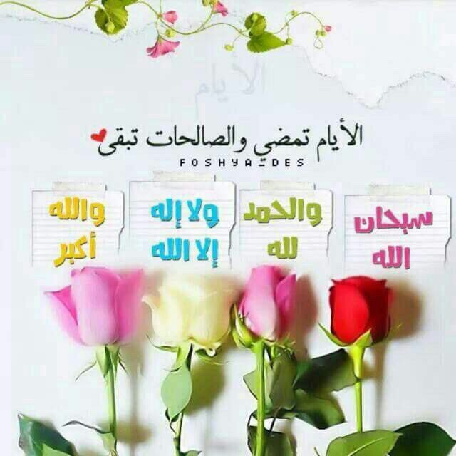 TwittterMan09's tweet photo. الأيام تمضي والصالحات تبقى 

#معلومة #متابعة #واقع #وقفه #رتويت #تابعني_اتابعك #غرد_بصورة #غرد_بذكر_الله https://t.co/fDD8SoTGFc