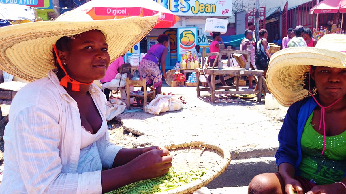 elisabetta ponzone tweet media