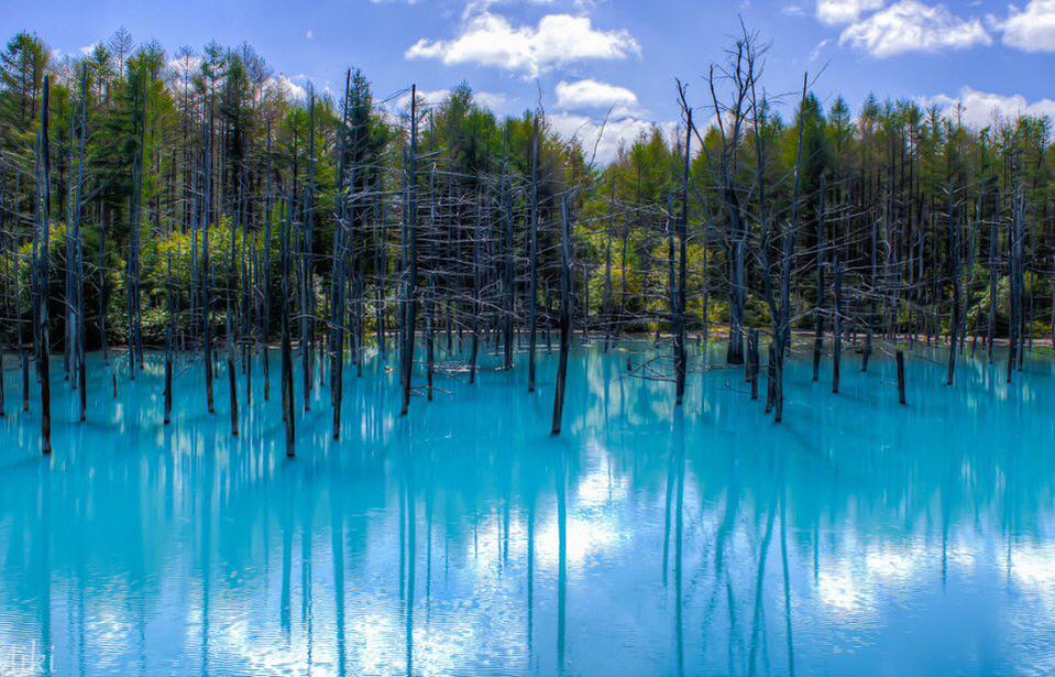 Embedded image permalink