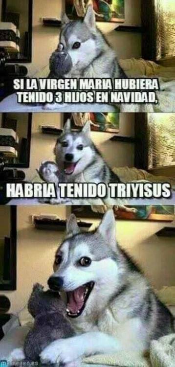 MejoresTwits's tweet photo. La tontería del día. https://t.co/ujq9qWD5QW