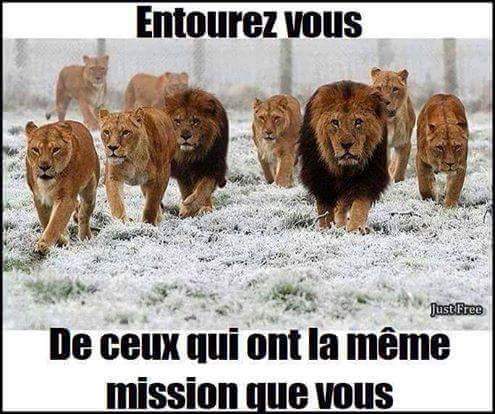 demjabbar's tweet photo. Tel un félin même pas peur!@MoussaTOURE9 @Ceschod @SOROKGUILLAUME @edyam7 @demjabbar @husseinkouame @christ_essis https://t.co/uP14rL3XRw
