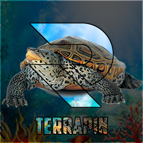 RathStudios's tweet photo. New Avi for @Oh_Terrapin - Made by @TFizx https://t.co/vR78nhfAXw