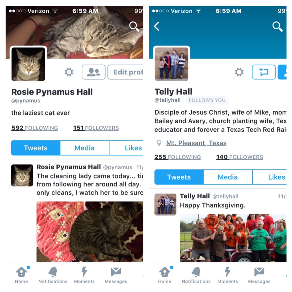 pynamus's tweet photo. When the cat has more twitter followers... #felinedomination @tellyhall https://t.co/QlaVKGTikx