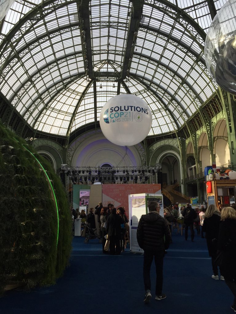GoodHout's tweet photo. #SolutionsCOP21 The stunning Grand Palais... The public is gently trickling in... https://t.co/qGhwEz7iYO