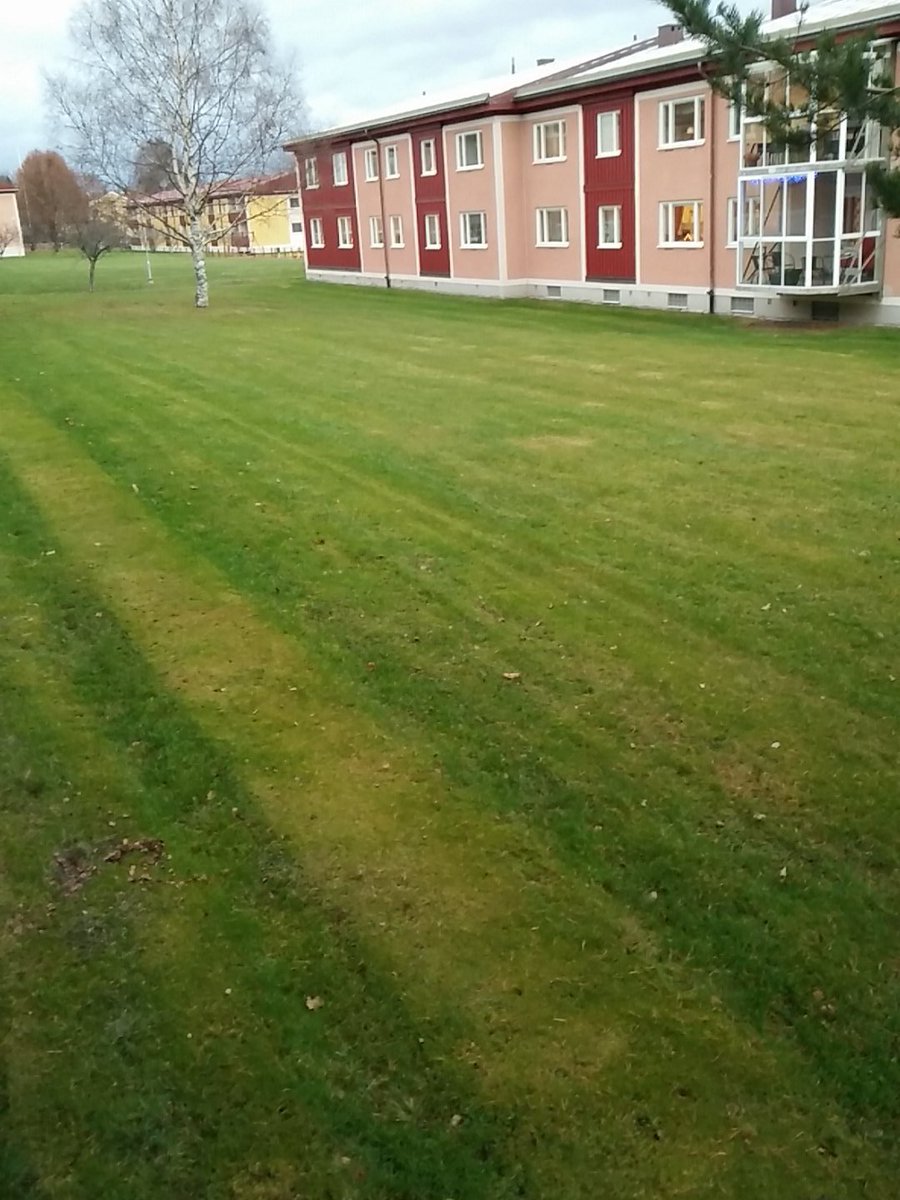 faleijs1935's tweet image. Man funderar väl lite på om det verkligen är 5 december idag #winterfail