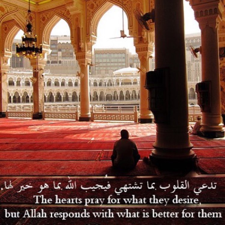 saadabdulhai tweet picture
