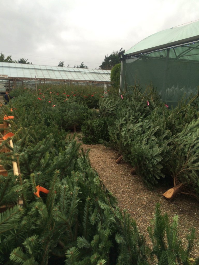 Storm Worthing tweet media