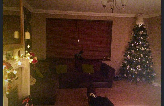 Its beginning to look a lot like Christmas 🎄🎅🏼 #bedsmas15