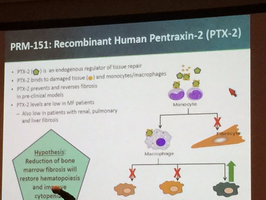 #ASH15 background:PRM-151 on human #pentraxin-2 Dr Verstovsek #mpsnm prevents/reverses fibrosis(pre-clinical models)