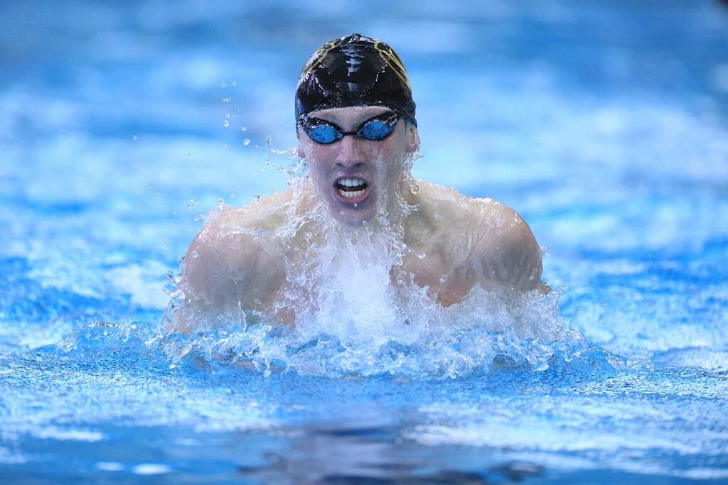 Mizzou Swimming & Diving tweet media