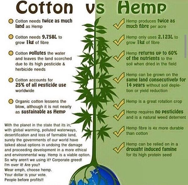 In a Battle Between Hemp vs #Cotton, Hemp Always Wins dld.bz/dXzBd via @DavidWolfe #Hemp #MME