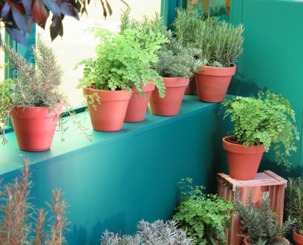 Spark a little happiness in every day life #sparkyourcity #london 💚 #Southbank