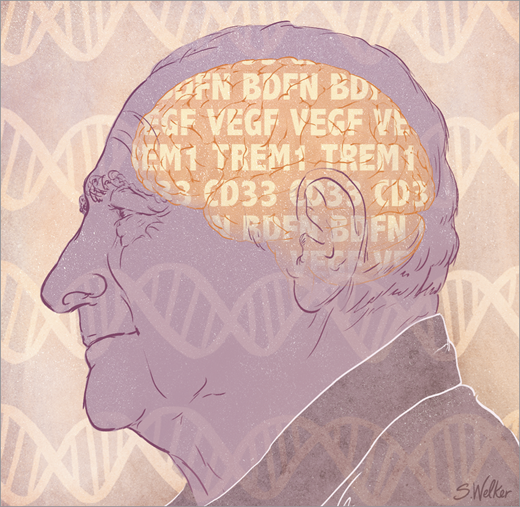 LEAD_Coalition's tweet image. The #Brain Fights Back: New Approaches to Mitigating Cognitive Decline bit.ly/1TKPG9R #brainhealth #EndAlz