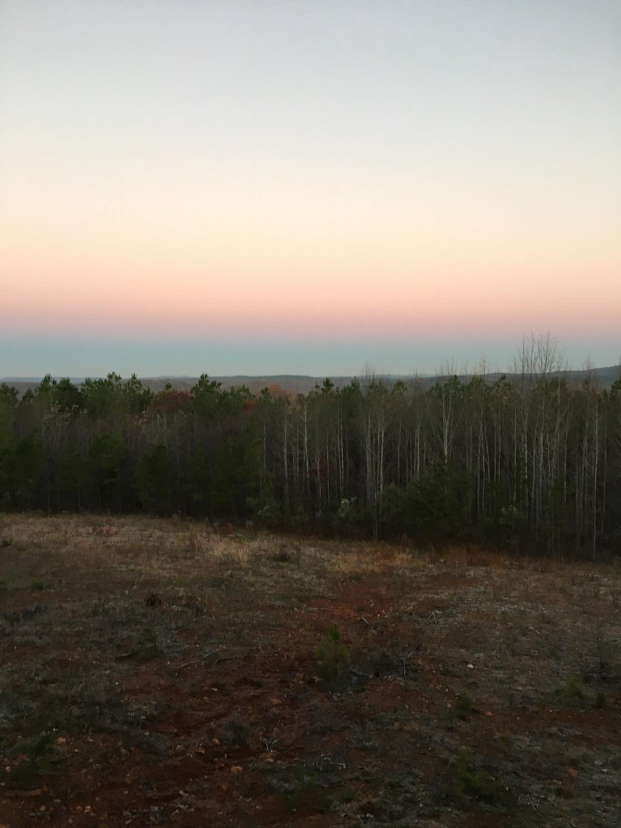 hdhuntjr's tweet photo. My #boxstand view of day break. #love2hunt @GreggRitz @DrivenTV https://t.co/XNjKO5kSy3