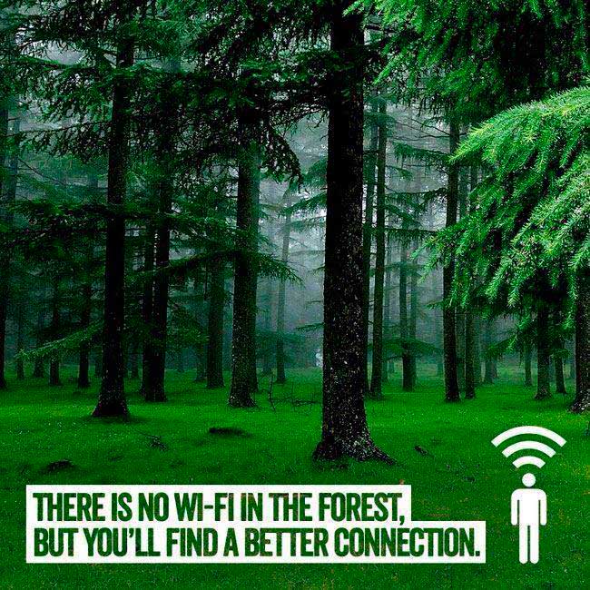 AlwaysBlissful_'s tweet photo. Nature = Solution https://t.co/UEG8irJRHk
