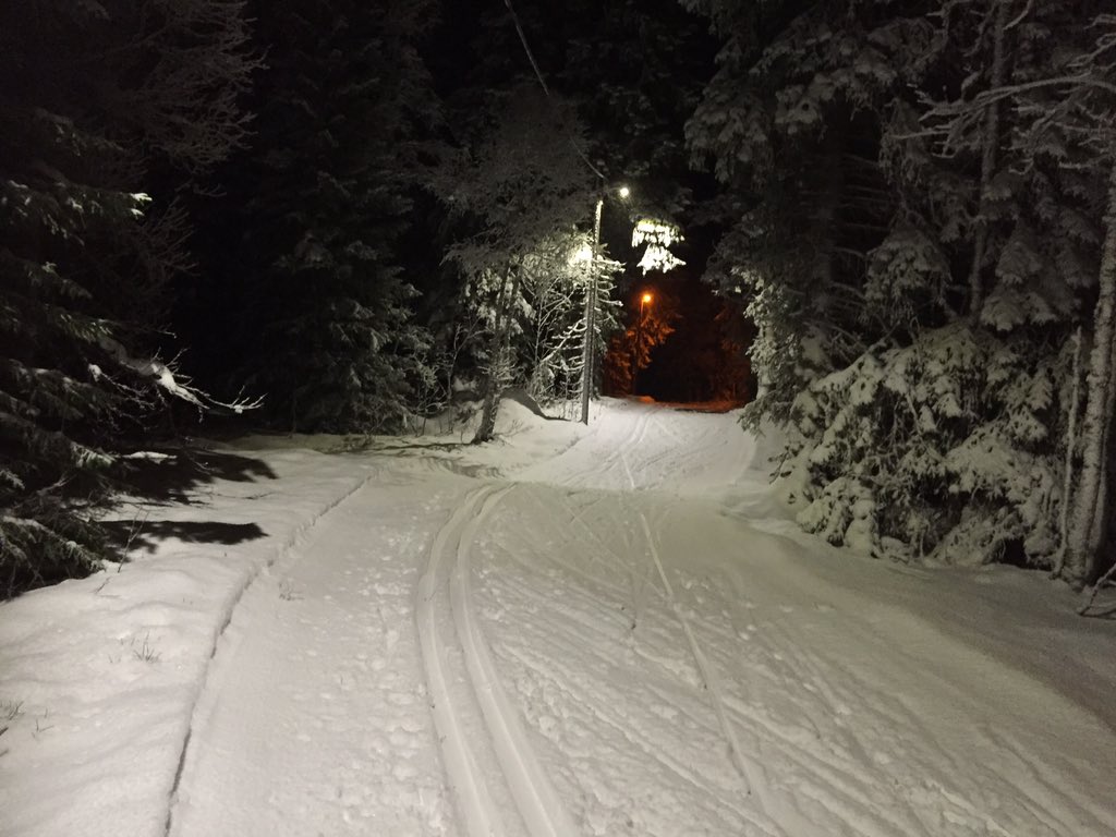 Asa_Nilsson's tweet photo. Äntligen, gå/staka 5 km 11 dar efter OP - hemlis för sjukgymnast! #menisk #rehab ? #nobrain #sjukthärligt https://t.co/3zZi0R4kpr