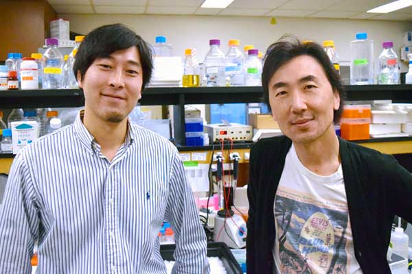 CancerAntiquity's tweet photo. Researchers have turned off a cancer-causing protein!
https://t.co/tcvC947ysT https://t.co/ehjqxySGwA