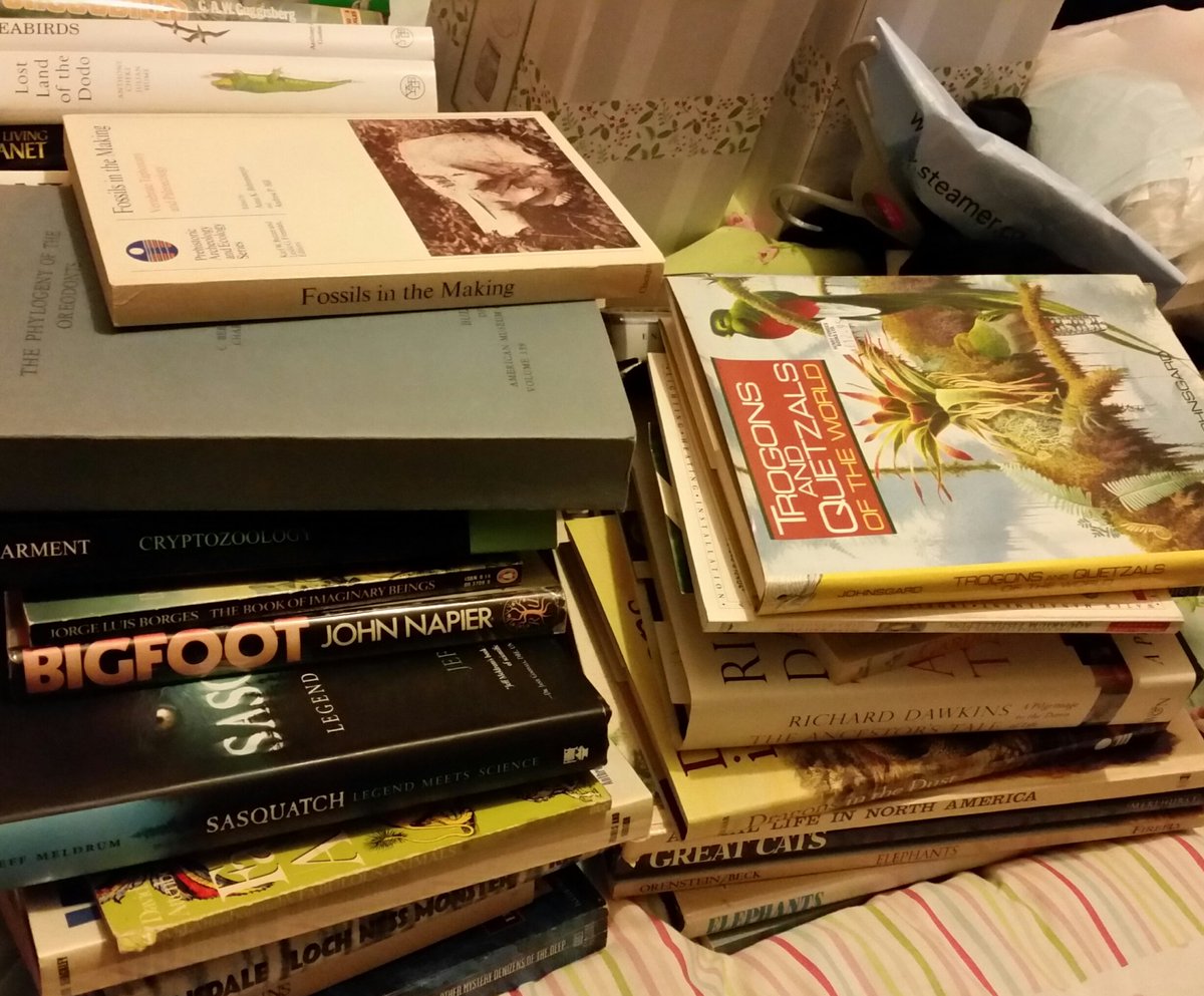 TetZoo's tweet image. Have spent much of the day moving books and boxfiles... #movingbooks 1
