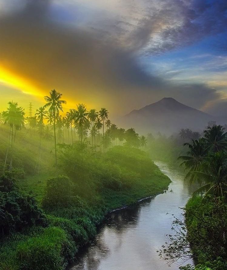 NatureHighDef's tweet photo. Indonesia https://t.co/l6616T49uh