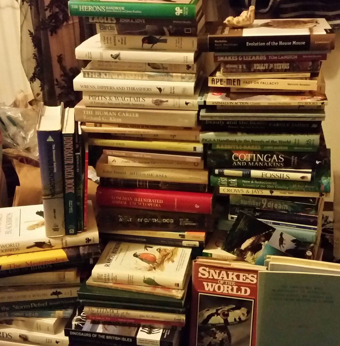 TetZoo's tweet image. #movingbooks 2... mostly bird books, also some mammal stuff and squamates...