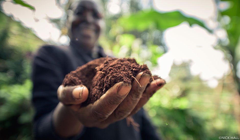 The Nature Conservancy tweet media