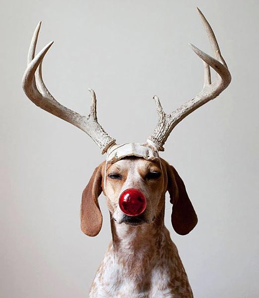 norm's tweet photo. 20 days until Christmas! https://t.co/ckfW8Hkr8P