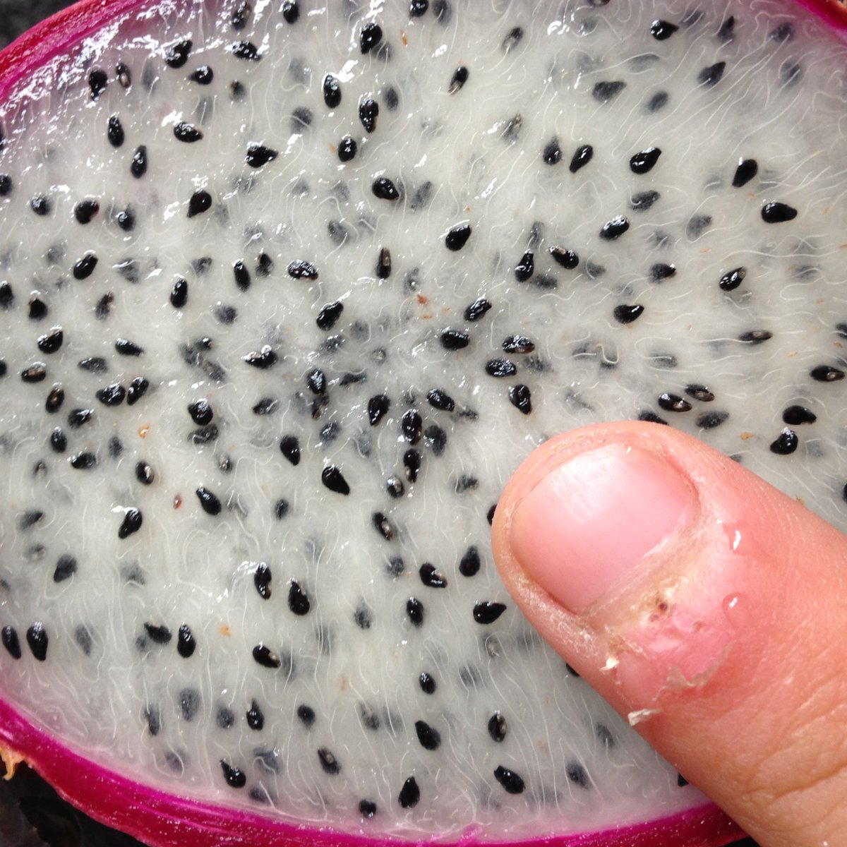 OFFGLOSS's tweet image. no sabe a nada #me #engañaron ! #vayamierda