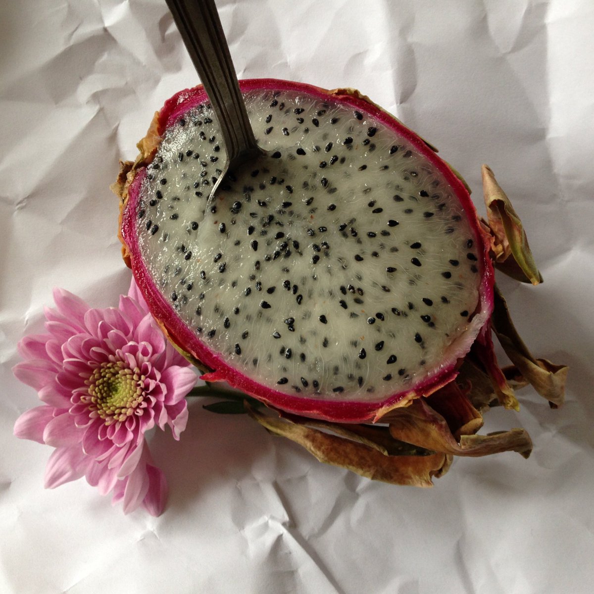 OFFGLOSS's tweet image. no sabe a nada #me #engañaron ! #vayamierda