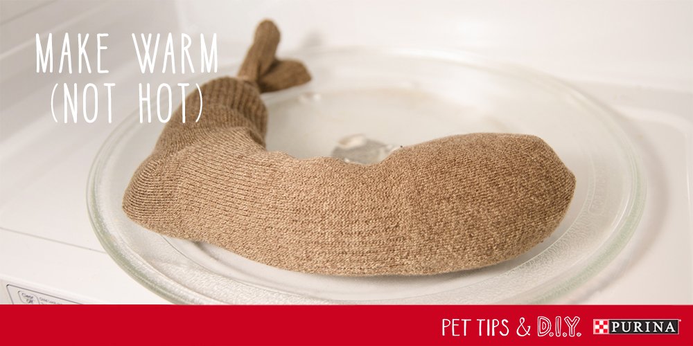 Purina's tweet photo. #PetLifeHack: Keep your dog warm this winter! Click the pics below & find out how to make this #DIY heating pad. https://t.co/JrpHPaxaY0