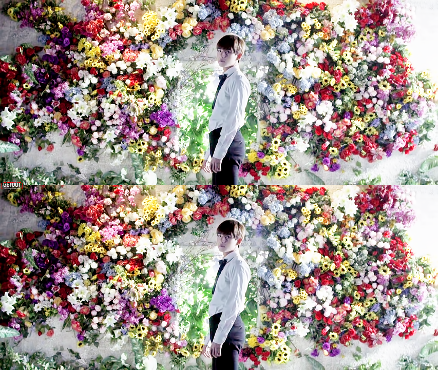 Afficher l'image d'origine