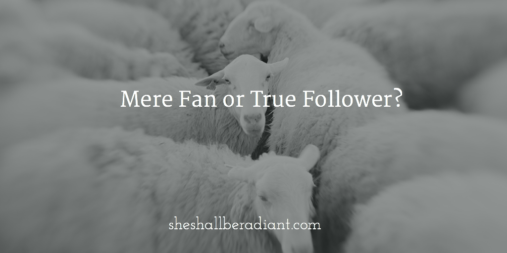 Shallberadiant's tweet photo. Mere Fan or True Follower? https://t.co/ab1waRsD9B https://t.co/KTHfVDcbM2