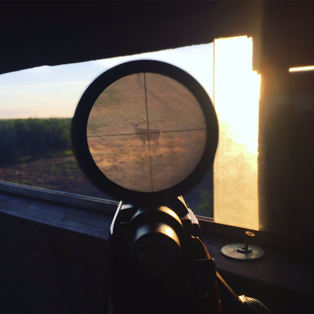 #temptations in #southtexas